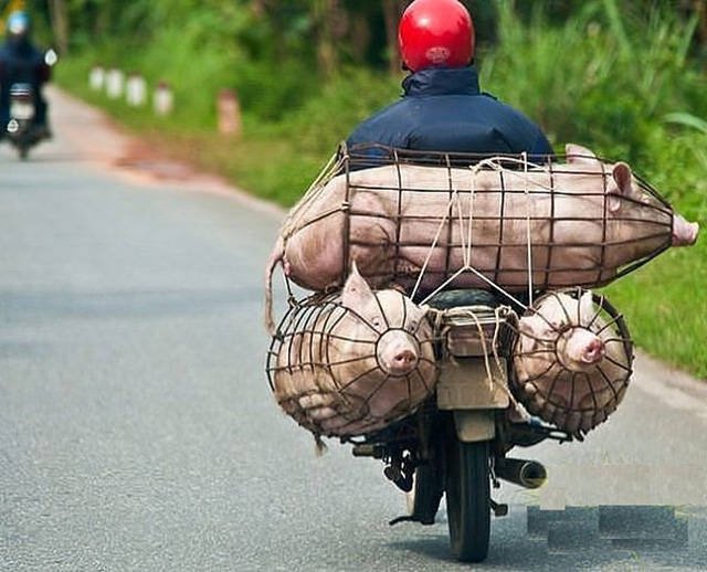 They Save On Shipping (58 pics)