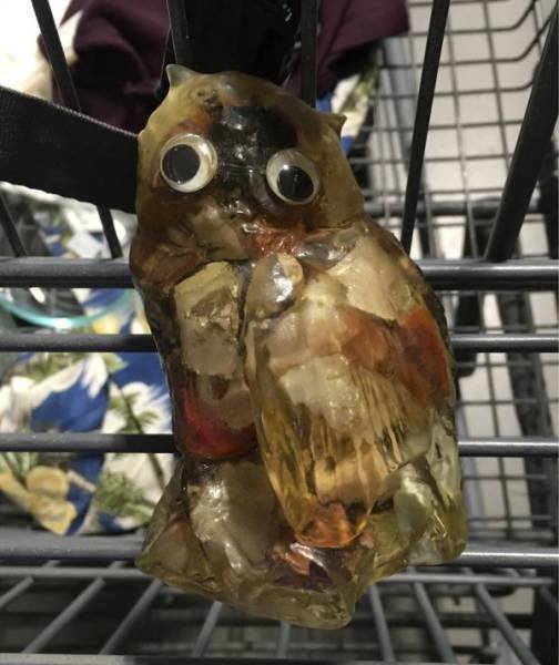 Odd Finds In Thrift Shops (53 pics)