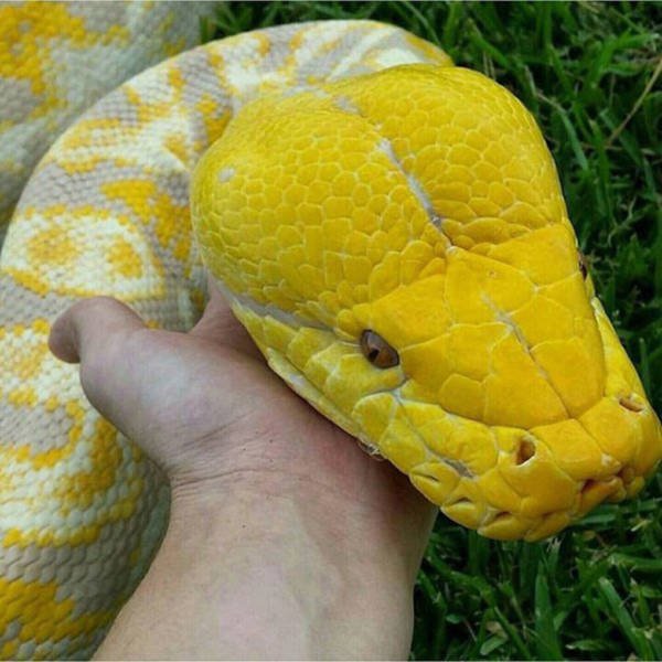Strange Finds And Situations (49 pics)