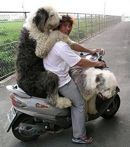 They Save On Shipping (58 pics)