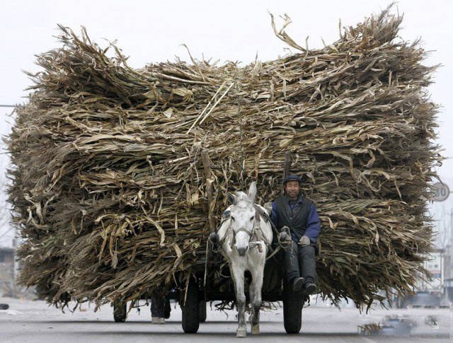 They Save On Shipping (58 pics)