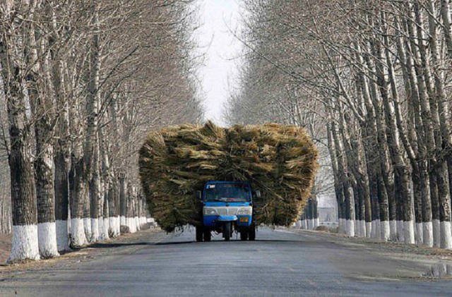 They Save On Shipping (58 pics)