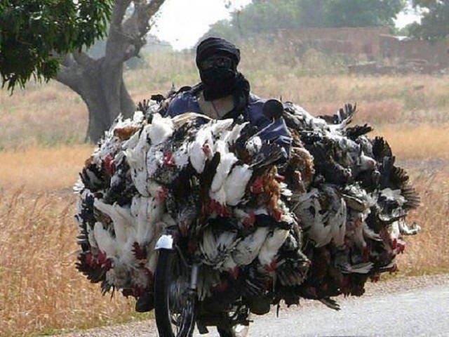 They Save On Shipping (58 pics)
