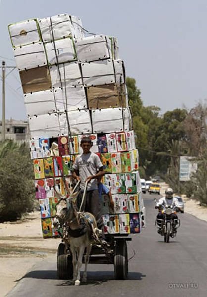 They Save On Shipping (58 pics)
