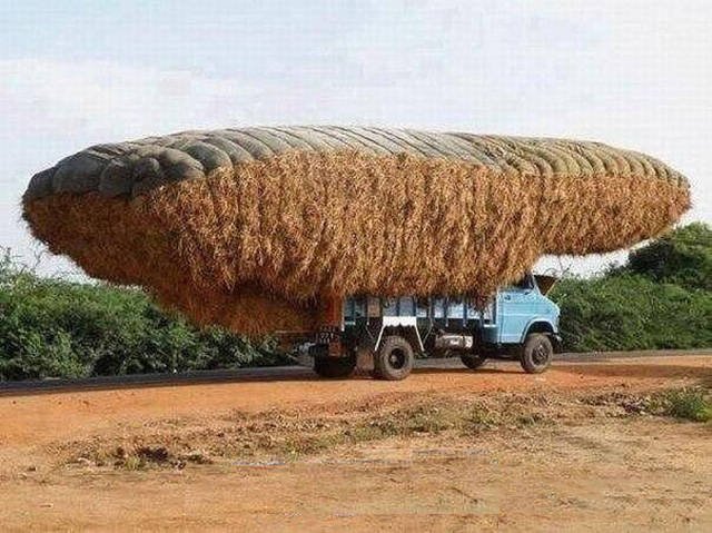 They Save On Shipping (58 pics)