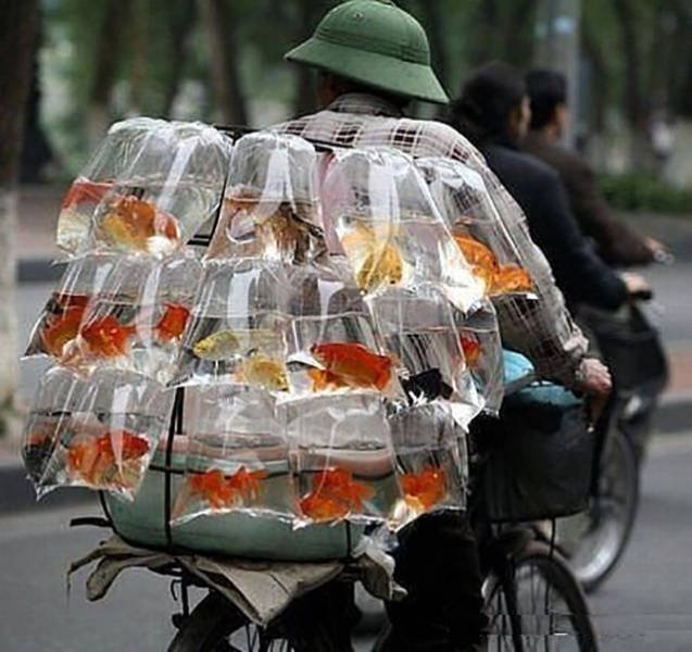 They Save On Shipping (58 pics)