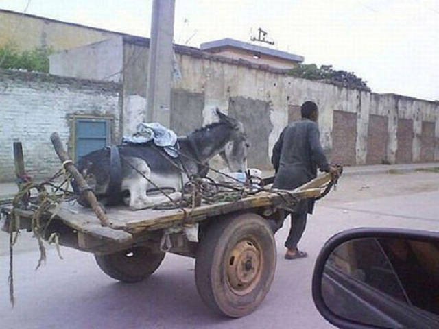 They Save On Shipping (58 pics)