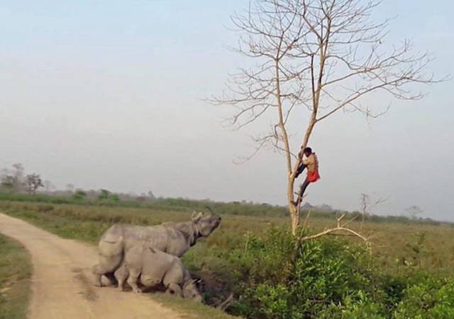 Strange Finds And Situations (49 pics)