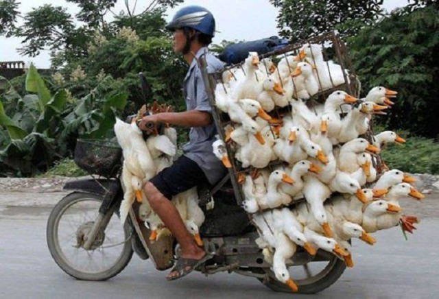 They Save On Shipping (58 pics)