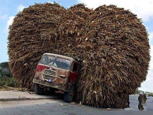 They Save On Shipping (58 pics)