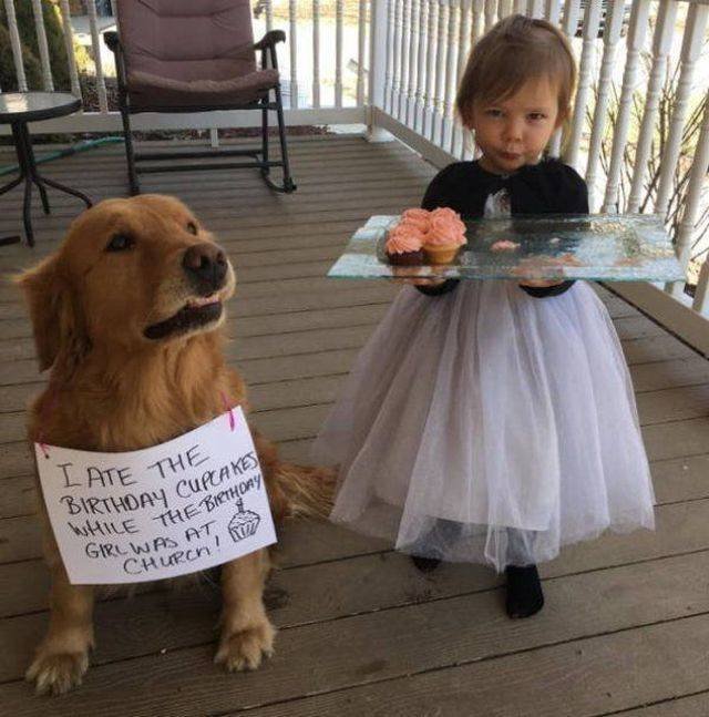 Funny Animals (55 pics)