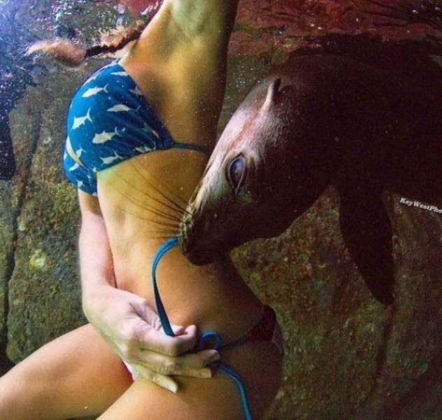 Cute And Funny Pets (62 pics)