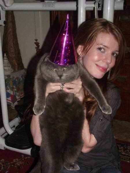 Cute And Funny Pets (62 pics)