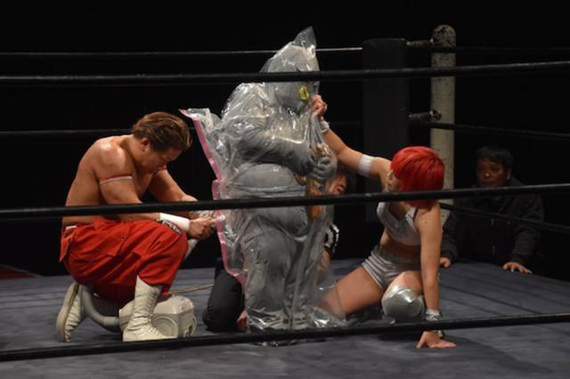 Japanese Wrestling (26 pics)