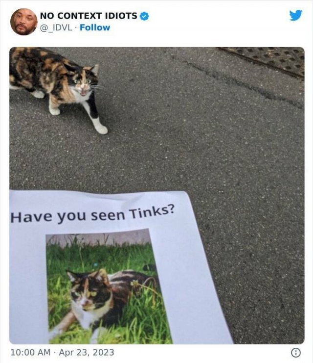 Funny Finds (23 pics)