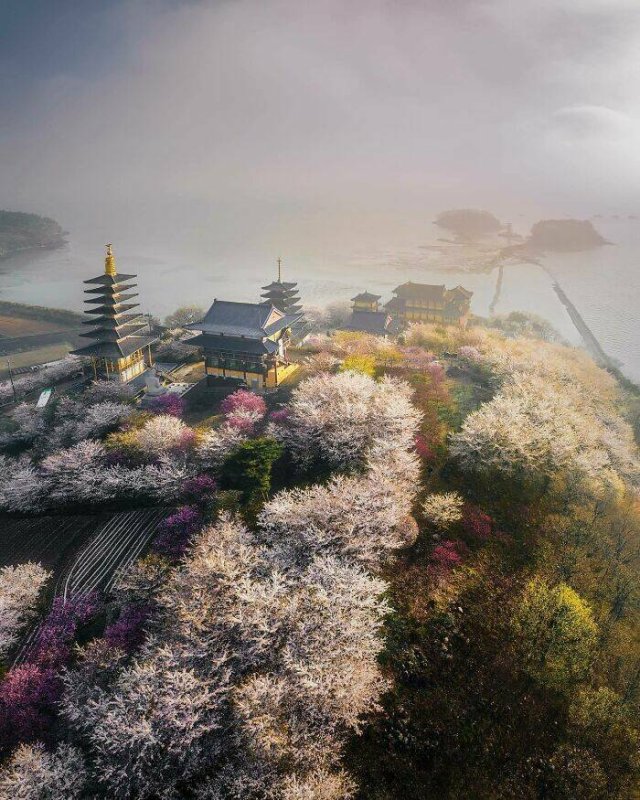 Masterpieces of Architecture (15 pics)