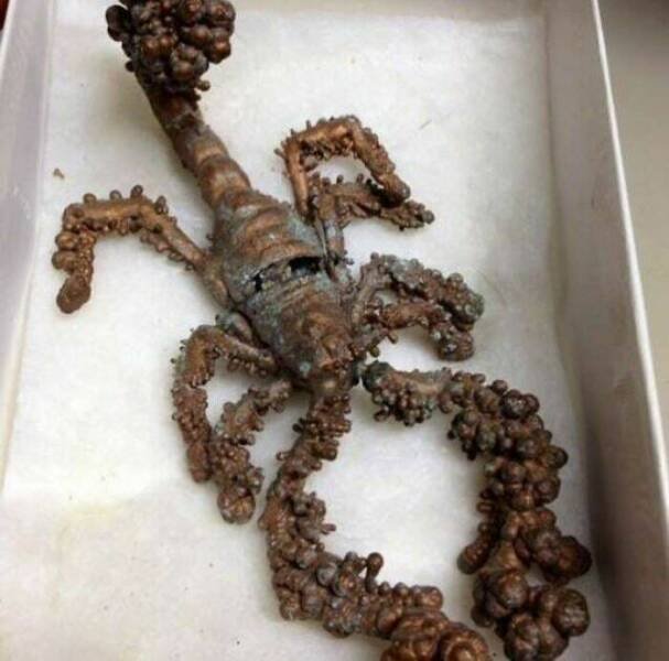 Unique Artifacts From The Past (25 pics)