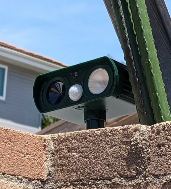 What Are These Things (16 pics)