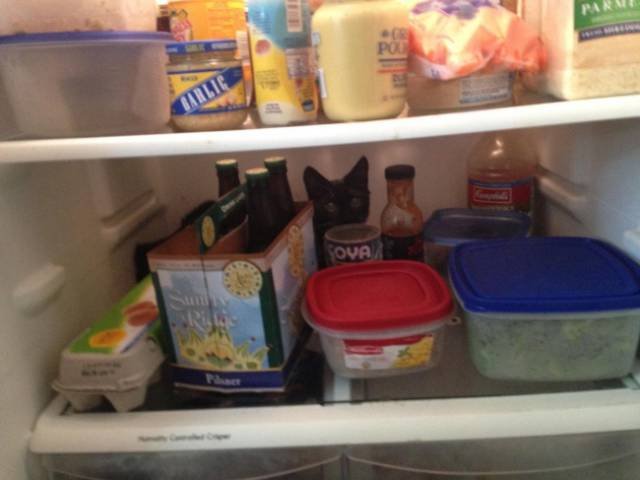 What Is Going On Here? (50 pics)
