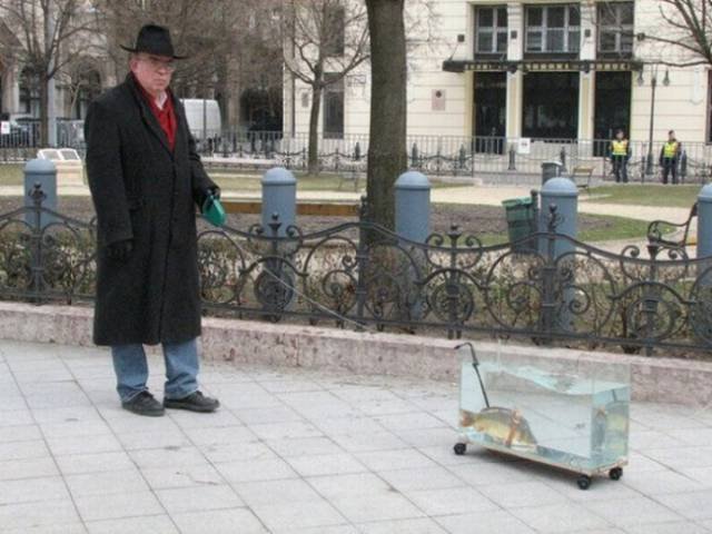 What Is Going On Here? (50 pics)