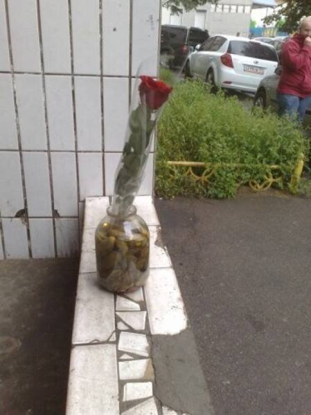 What Is Going On Here? (50 pics)