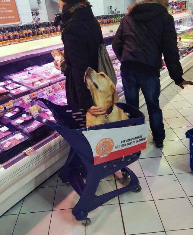 Amazing Discoveries Made By Travelers (25 pics)