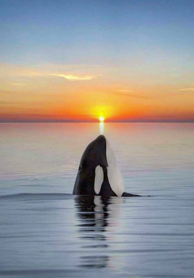 Amazing Photos From Around The World (23 pics)