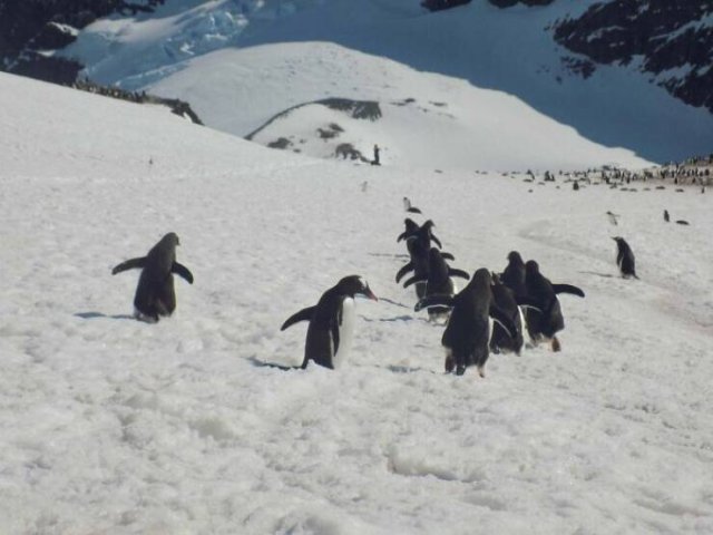 Amazing Discoveries Made By Travelers (25 pics)