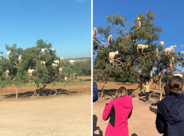 Amazing Discoveries Made By Travelers (25 pics)