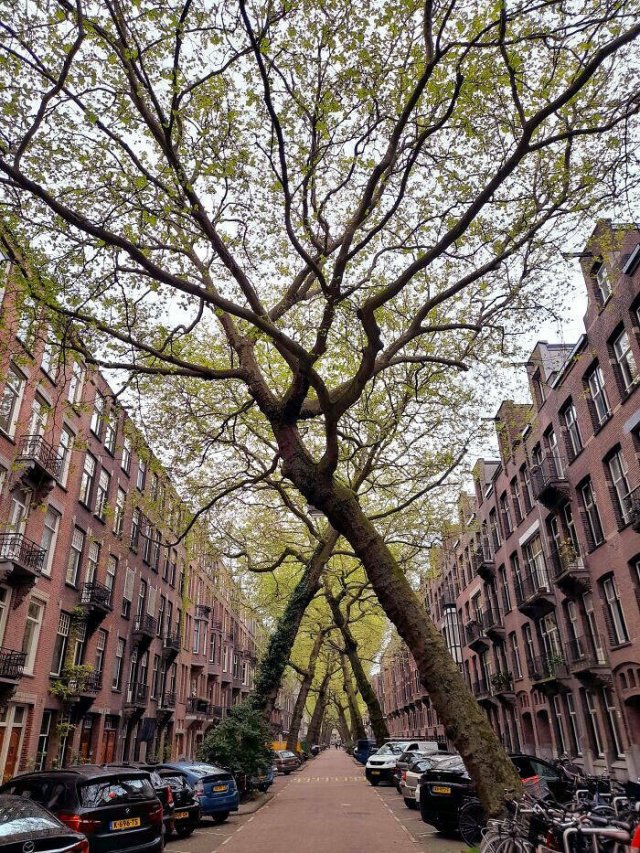 Amazing Discoveries Made By Travelers (25 pics)