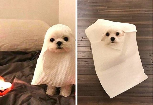 Expectations Against Reality (17 pics)