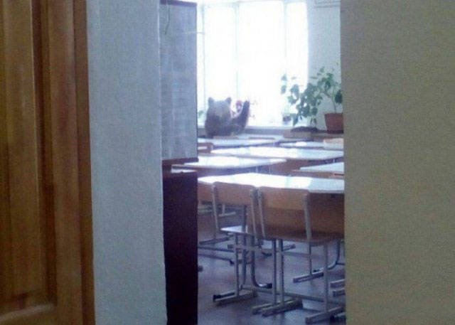 Strange Photos From Russia (41 pics)