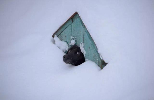 Strange Photos From Russia (41 pics)