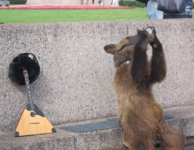 Strange Photos From Russia (41 pics)