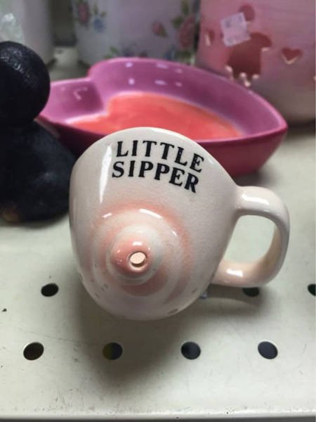 Odd Finds In Thrift Shops (34 pics)