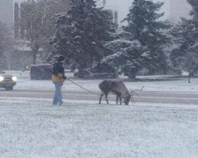 Strange Photos From Russia (41 pics)
