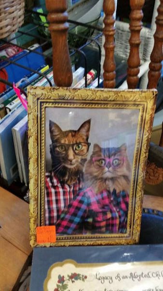 Odd Finds In Thrift Shops (34 pics)