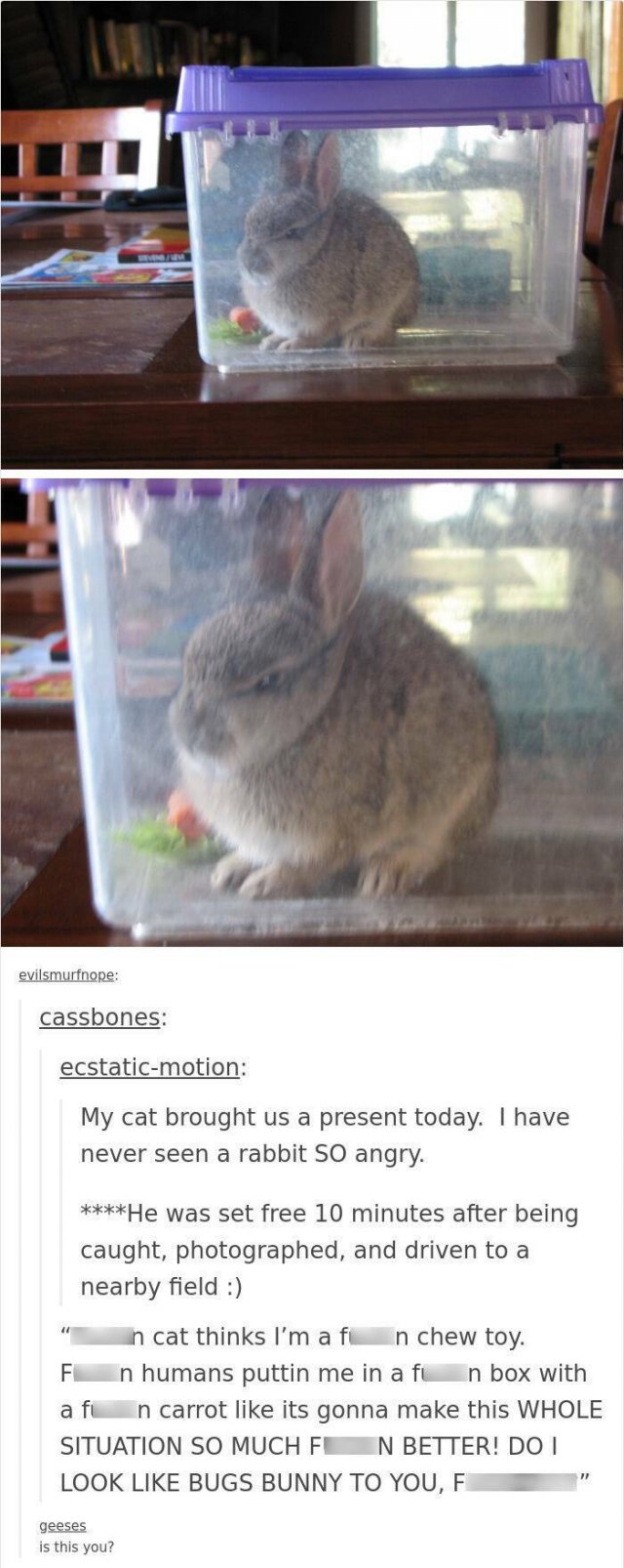 Memes With Animals (25 pics)