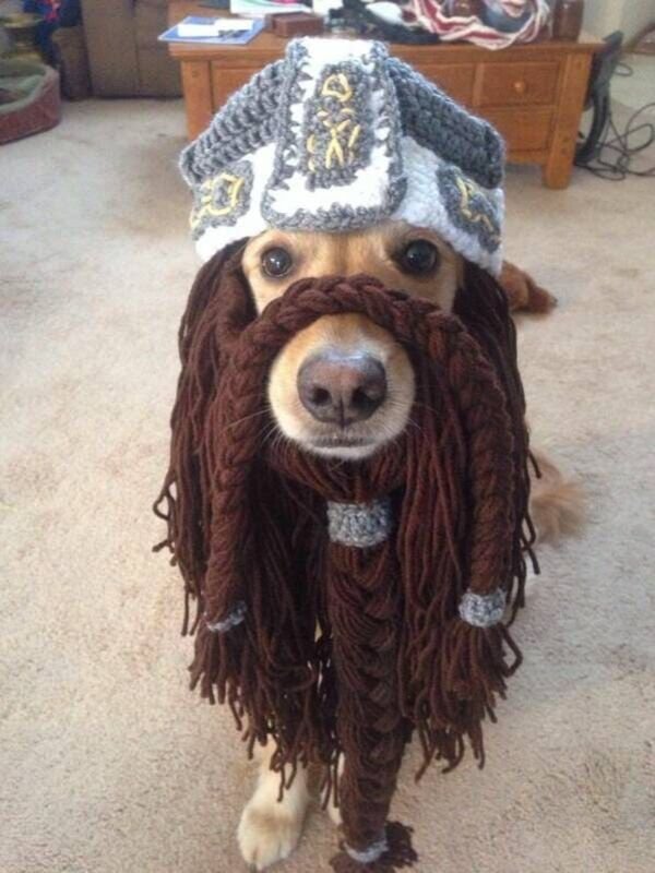 Cute And Funny Animals (21 pics)