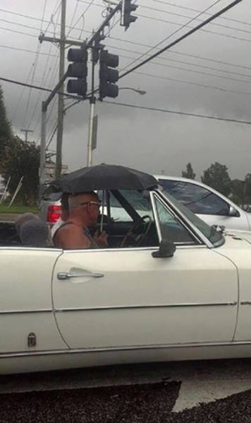 Odd Finds And Situations (45 pics)