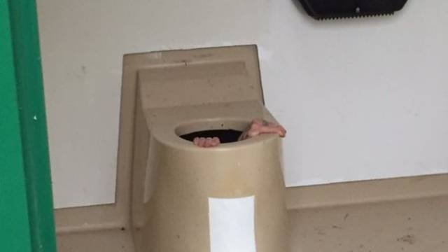 Odd Finds And Situations (45 pics)