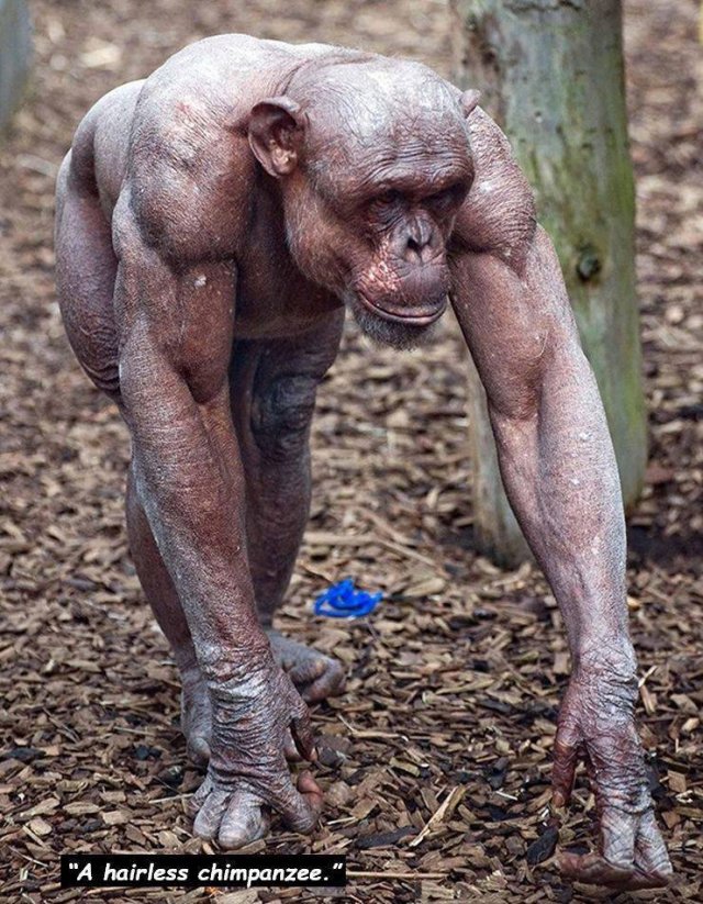 Weird Finds (48 pics)