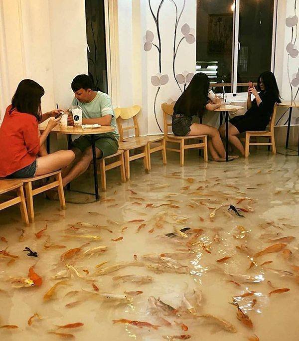 Weird Finds (48 pics)
