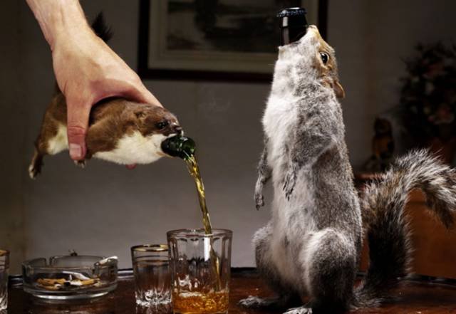 Odd Finds And Situations (45 pics)