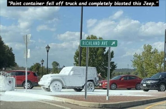 Weird Finds (48 pics)
