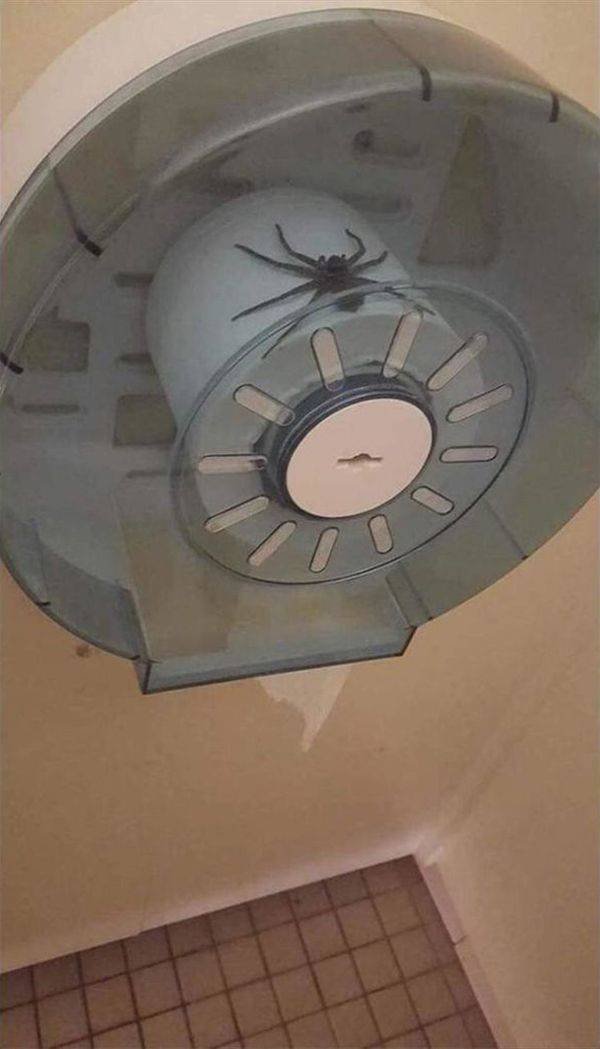 Weird Finds (48 pics)