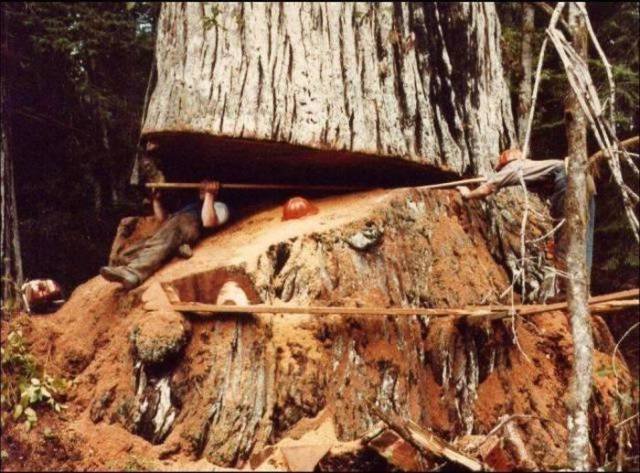 Odd Finds And Situations (45 pics)