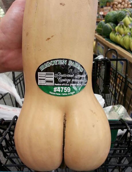 Odd Finds And Situations (45 pics)