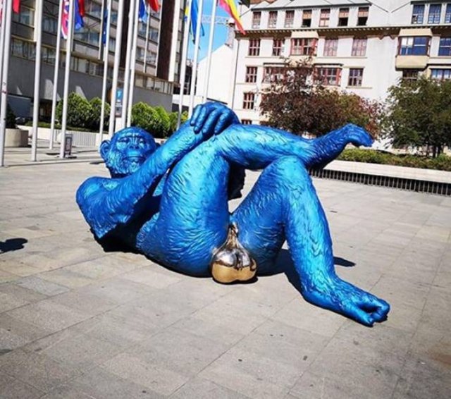 Weird Finds (48 pics)