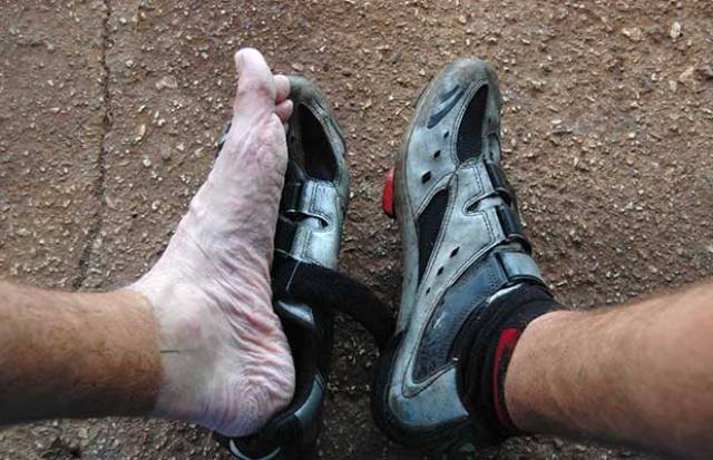 Odd Finds And Situations (45 pics)